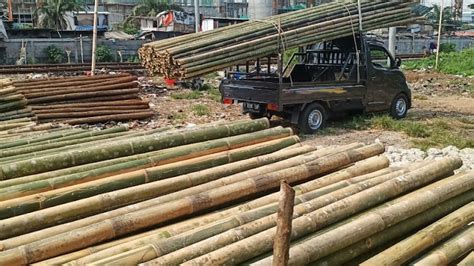 Alamat Dan Nomor Telepon Toko Bangunan Di Tanjung Priok Jakarta