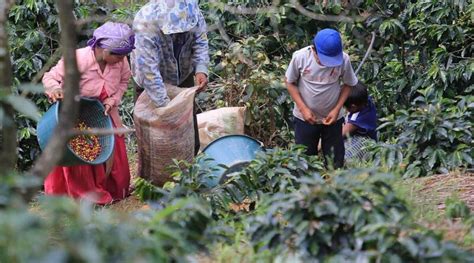 Mercados y Finanzas Mano de obra nicaragüense es clave en el mercado