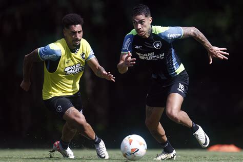 Botafogo X Fortaleza Veja Onde Assistir Ao Jogo Pelo Brasileir O S Rie