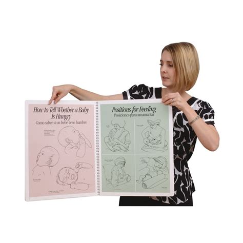 Breastfeeding Charts Displays And Posters