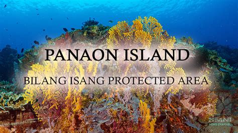 Panaon Island Sa Leyte Nais Gawing Protected Area