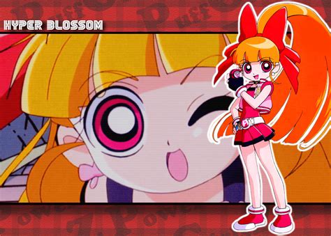 Powerpuff Girls Z Blossom 1430x1024 Wallpaper