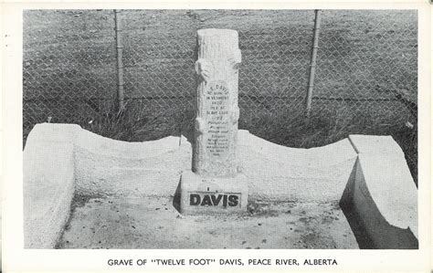 Postcard 4605 Hanson Al Grave Of Twelve Foot Davis Peace River