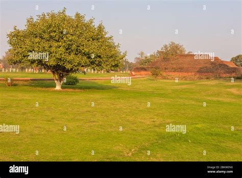 Ruins of Nalanda, Bihar, India Stock Photo - Alamy