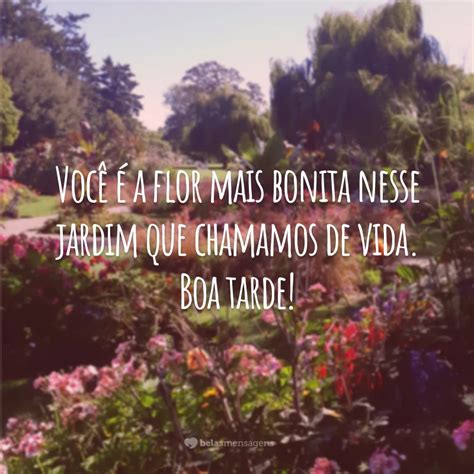 50 Frases De Boa Tarde Flores Para Animar Seu Dia