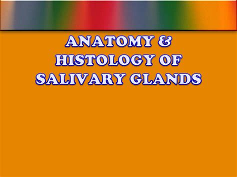 Solution Anatomy Histology Of Salivary Glands Studypool