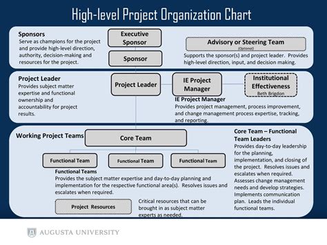 Project Roles And Responsibilities Chart - Project Organization Chart ...