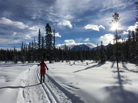 11 Banff Winter Tours You Need to Check Out - Oceanus Adventure