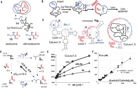 A Functional Groupguided Approach To Aptamers For Small Molecules