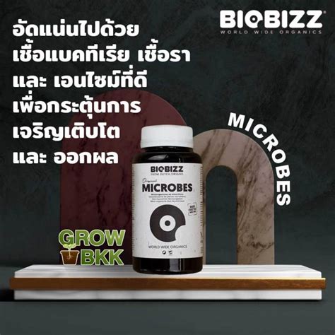 🚚พร้อมส่ง 🚚ปุ๋ยเร่งผล กระตุ้นการเจริญเติบโต BIOBIZZ Microbes ปุ๋ย ...