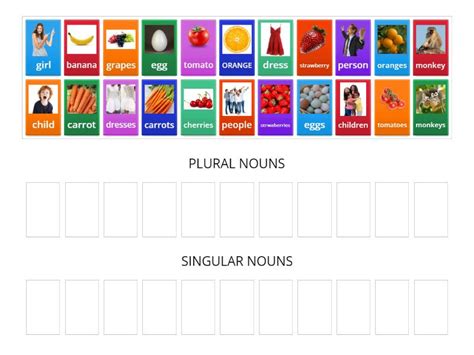 Plural And Singular Nouns Ordenar Por Grupo