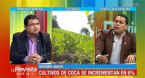 Oposici N Critica Control De Coca En Los Yungas Y No En El Chapare El