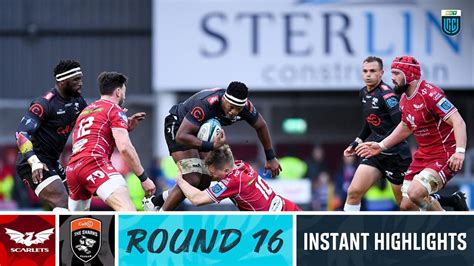 Scarlets V Cell C Sharks Instant Highlights Round Urc