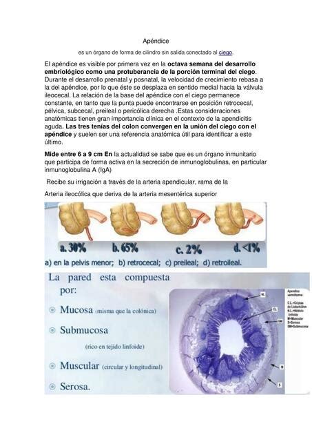 Apéndice Escuela medica uDocz