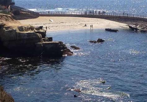 Top 10 Best Surf Spots in California | Surf Beaches in California