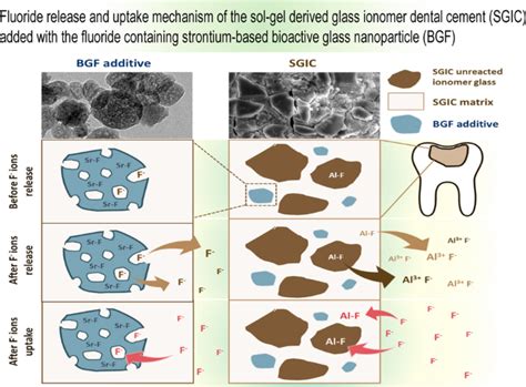 Fluoride Release And Uptake Characteristics Of The Sol Gel Derived