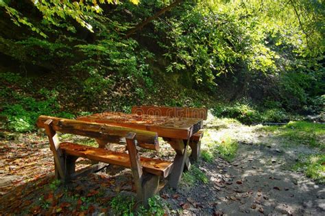 Colored Autumn Landscape Wooden Table And Benches Place Of Picnic In