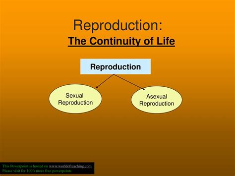 Reproduction The Continuity Of Life Reproduction Sexual Asexual Ppt