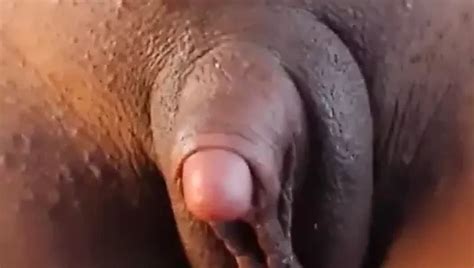 Vagina Con Enorme Cl Toris Erecto Se La Follan Gran Orgasmo Xhamster