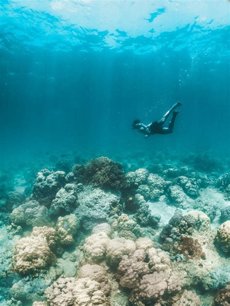 Looc Marine Sanctuary On Tablas Island Romblon Journey Era Island