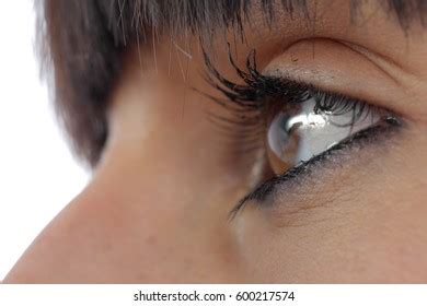 Beautiful Female Brown Eyes Close Isolated Stock Photo 600217574