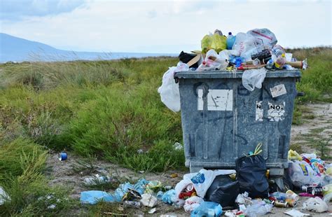 Tipos De Contaminación Del Suelo Mycal