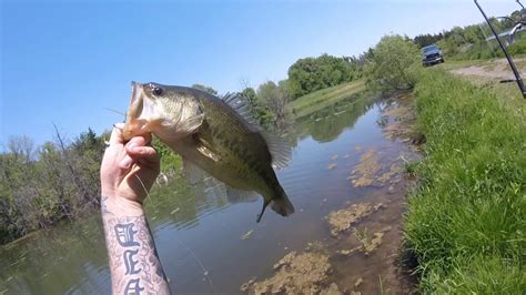 Bank Fishing A Pond For Largemouth Bass Youtube