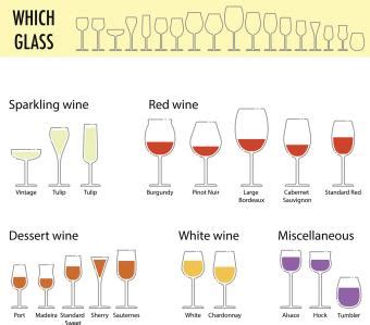 Guide To Basic Wine Knowledge Lovetoknow