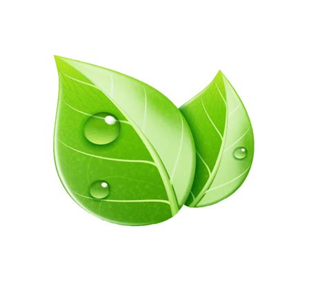 Png برگ شبنم روی برگ Png Leaf Logo دانلود رایگان