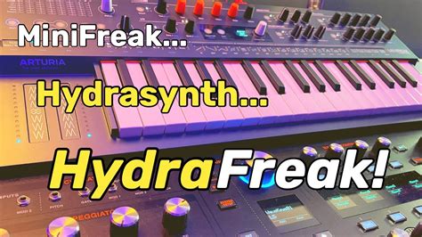 Synth MASHUP ASM Hydrasynth And Arturia MiniFreak Make Magic YouTube