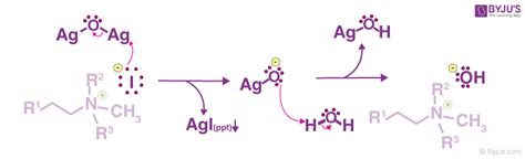 Hofmann Elimination Step By Step Mechanism Illustrations
