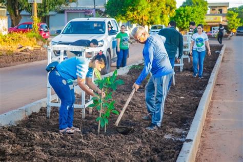 Projeto Arborizar Santar M Re Ne Para Tra Ar Novas Metas Para O