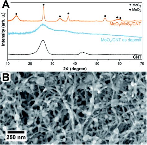 Structural And Chemical Characterization Of MoO 2 MoS 2 Triple Hybrid