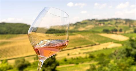 Celebrate Ros Wine Day In Tenuta Torciano Getyourguide