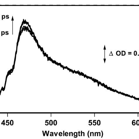 Transient Absorption Spectra Taken At Various Delay Times On The Ps