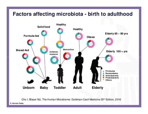 Human Microbiome An Evolving Clinical Frontier