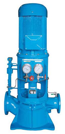 Self Priming Pump Centrifugal Chemical Process Condensate Ritm