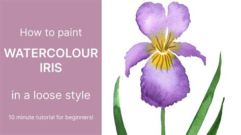 How To Paint An Iris Flower Easy Watercolor Flower Tutorial Emily