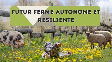 Création de notre ferme autonome et resiliente YouTube