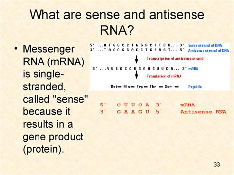 Short History Of Post Transcriptional Gene Silencing Online Presentation