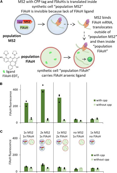 Controlled Exchange Of Protein And Nucleic Acid Signals From And