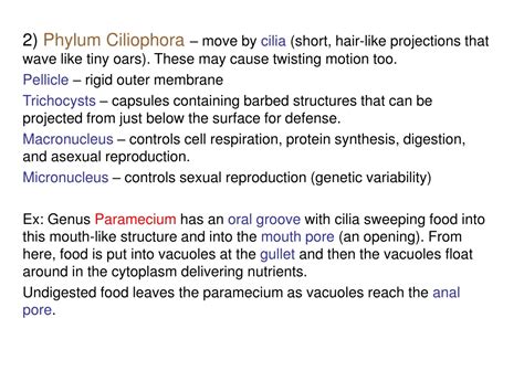 PPT Protists Learning Target Objectives I Can PowerPoint