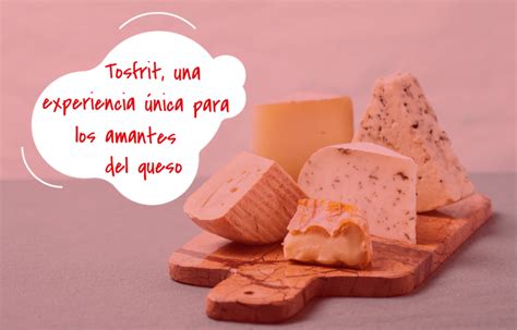 Tosfrit Una Experiencia única Para Los Amantes Del Queso Tosfrit