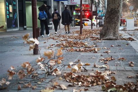 Qué zonas de Mendoza se encuentran bajo alerta amarilla por viento