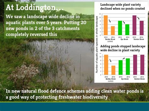 Natural Flood Defences And Biodiversity Freshwater Habitats Trustfreshwater Habitats Trust