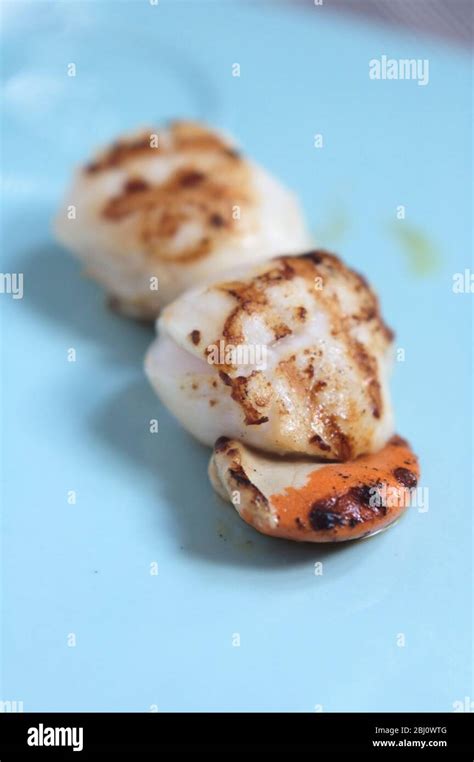 Griddle Scallops Hi Res Stock Photography And Images Alamy