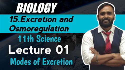 11th Biology 15 Excretion And Osmoregulation Lecture 01 Modes Of