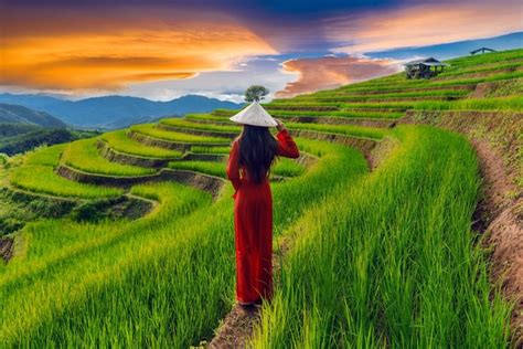 Premium Photo Asian Woman Wearing Vietnam Culture Traditional At Rice