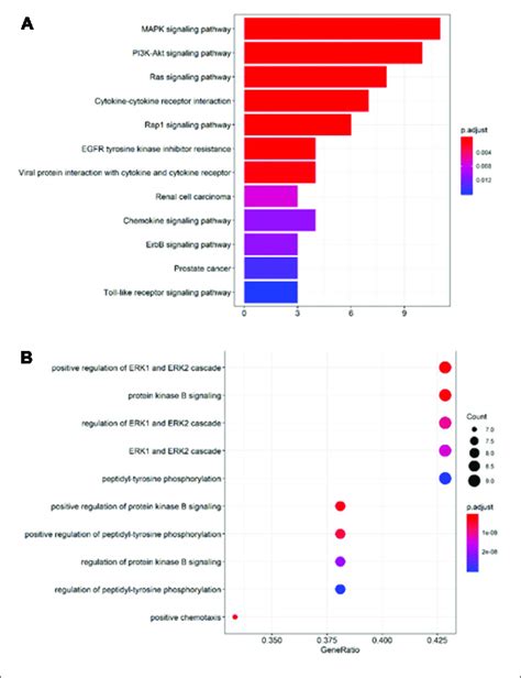 Gene Ontology Go And Kyoto Encyclopedia Of Genes And Genomes Kegg