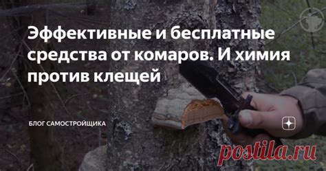 Эффективные и бесплатные средства от комаров. И химия против клещей В ...